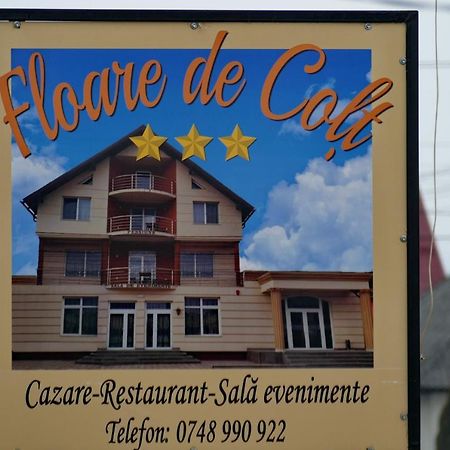 Floare De Colt Otel Berbesti Dış mekan fotoğraf